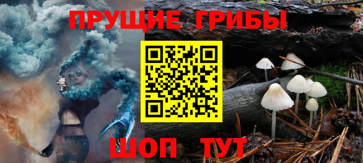 Псилоцибиновые грибы GOLDEN TEACHER Большой Камень