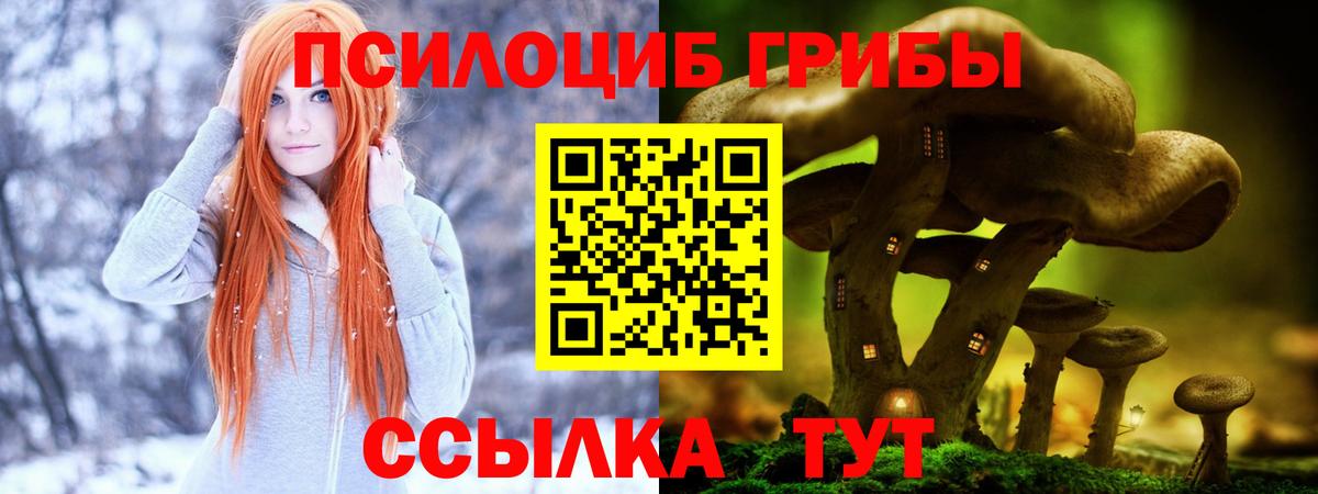 Псилоцибиновые грибы ЛСД  Вход с VPN  Большой Камень 
